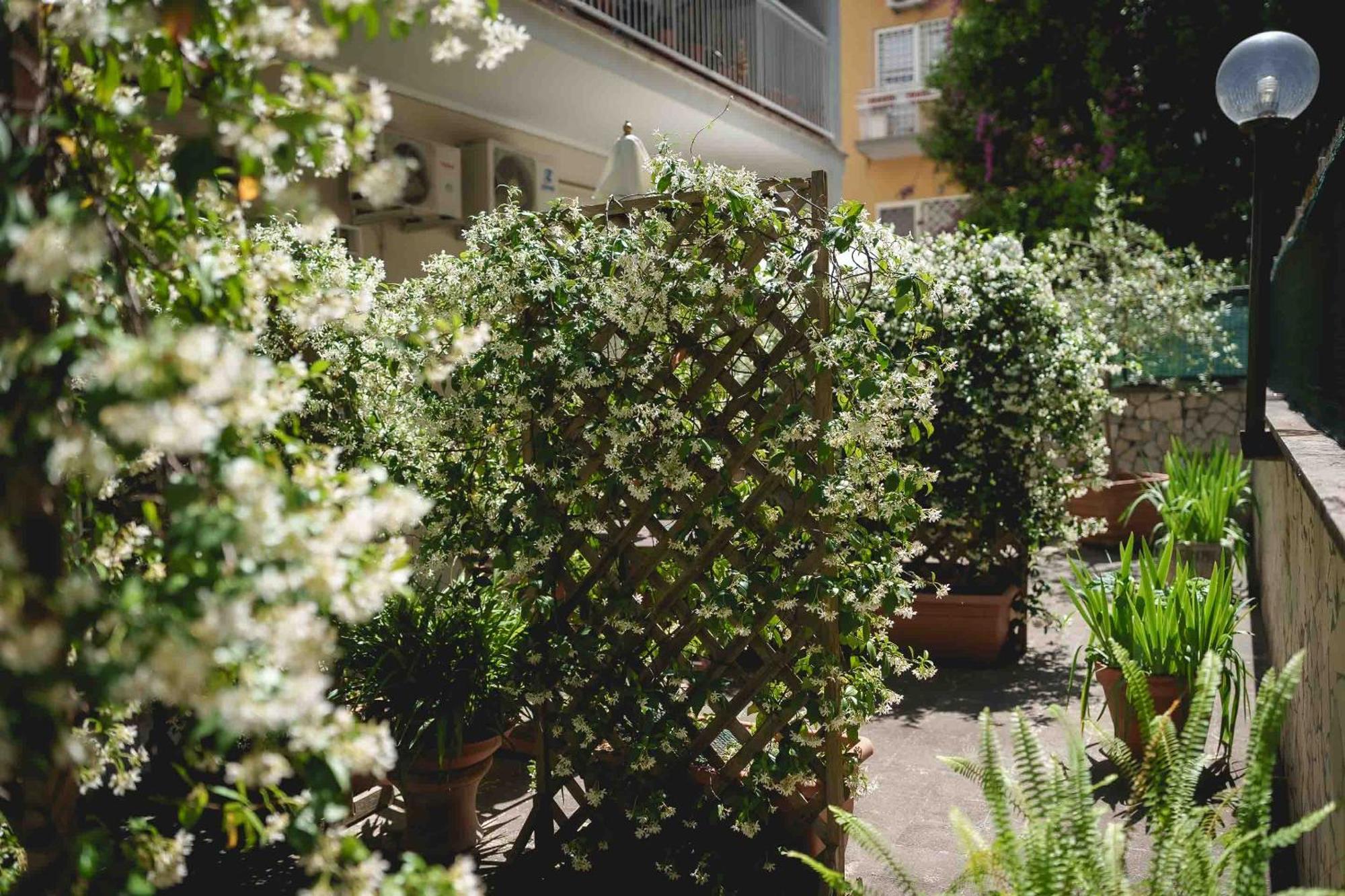 Bed & Breakfast Le Tare Roma